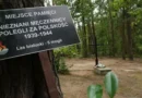 Poljska: U masovnoj grobnici pronađeno 17,5 tona ljudskog pepela